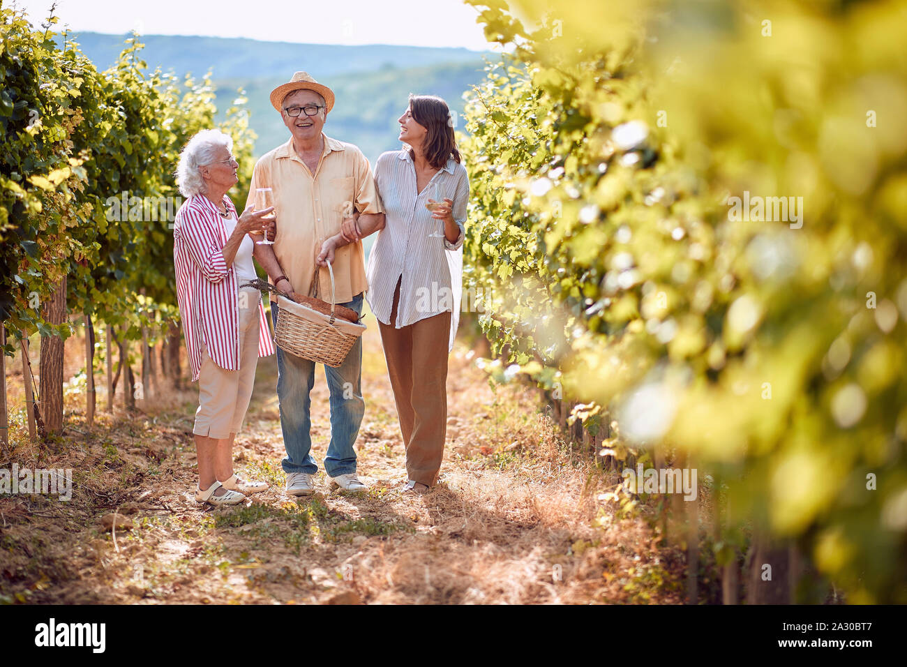 Traube Weinberg Felder. Weinlese. Lächelnd Familie wandern in zwischen den Reihen von Reben Stockfoto