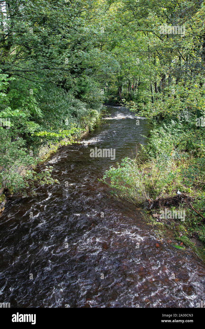 Blick auf den Fluss Holme laufen durch das Zentrum von Holmfirth, einer kleinen Stadt in West Yorkshire berühmt für die letzten Sommer Wein BBC sitcom Stockfoto