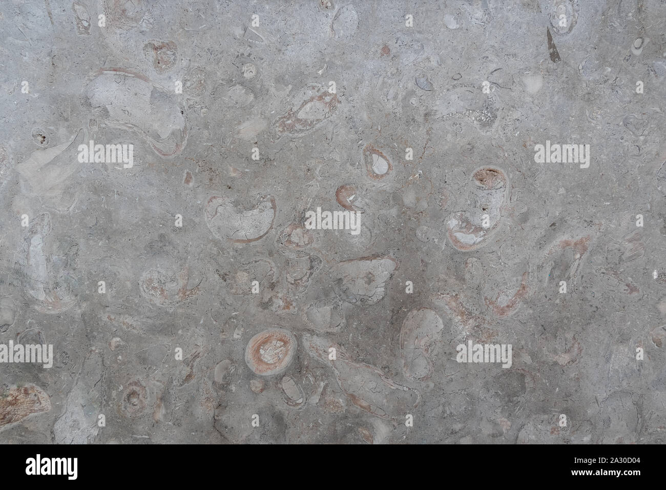 Glatten Stein Textur ist grau-beige mit Risse, Flecken. Stockfoto