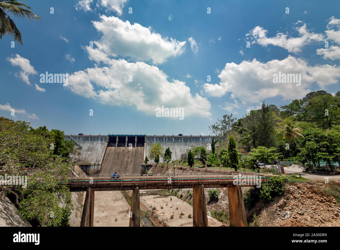 Grünflächen in Neyyar Dam, Kerela, Indien. Stockfoto