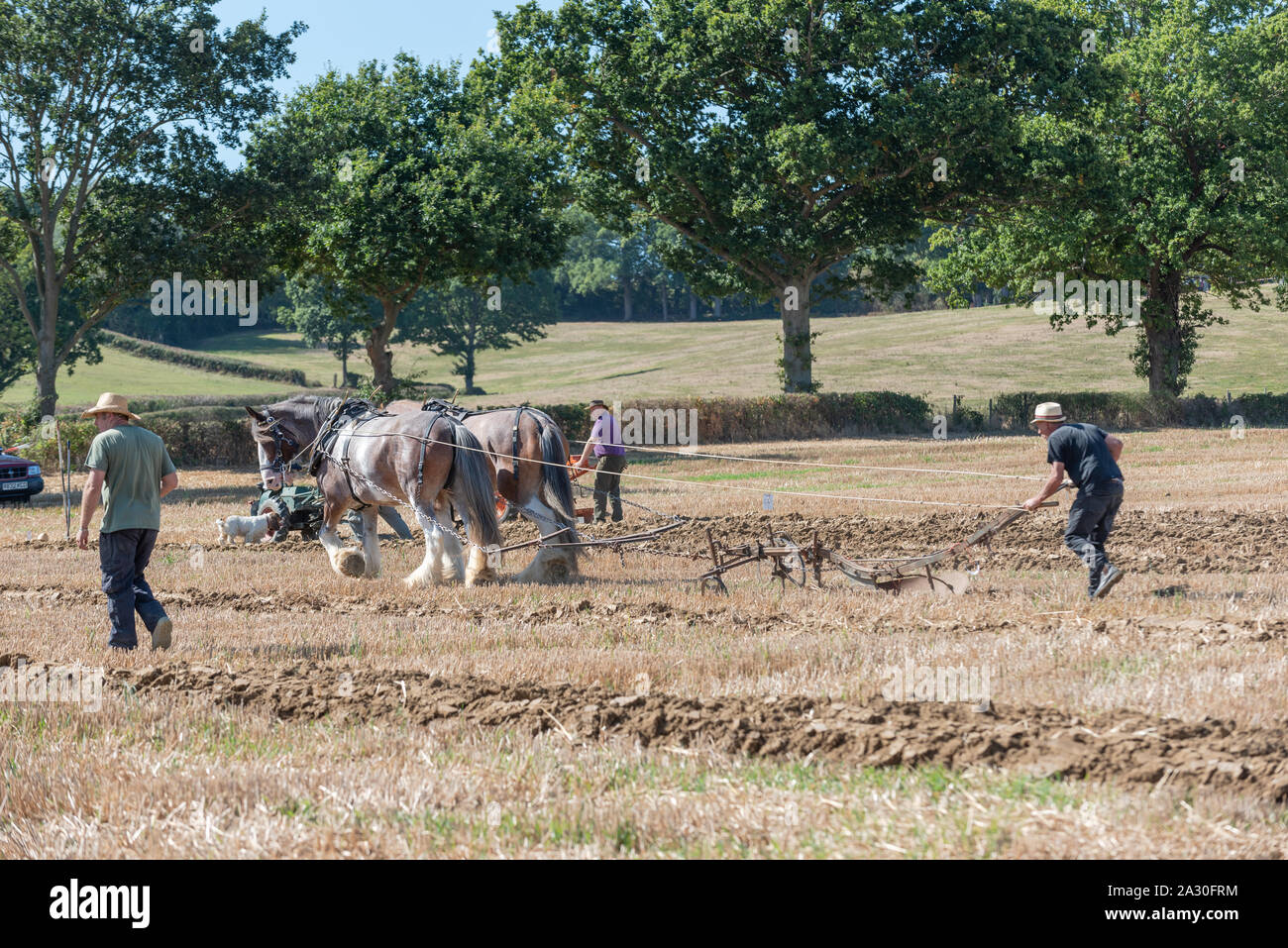 Weald von Kent Pflügen Match 2019 Stockfoto