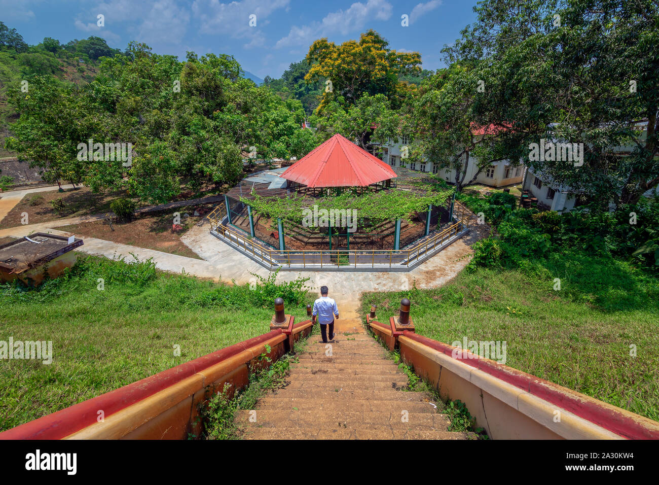 Grünflächen in Neyyar Dam, Kerela, Indien. Stockfoto