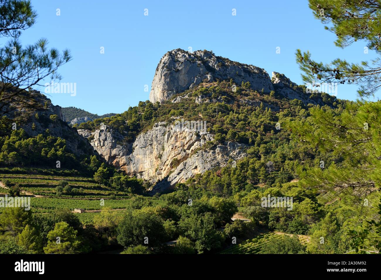 Berg in der Dentelles de Montmirail Stockfoto