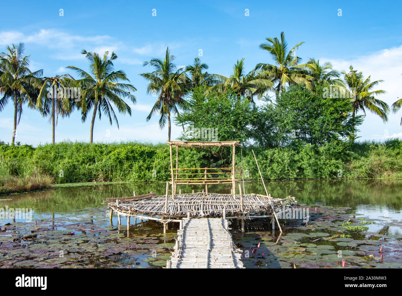 Bamboo walkway Fotos und Bildmaterial in hoher Auflösung Alamy