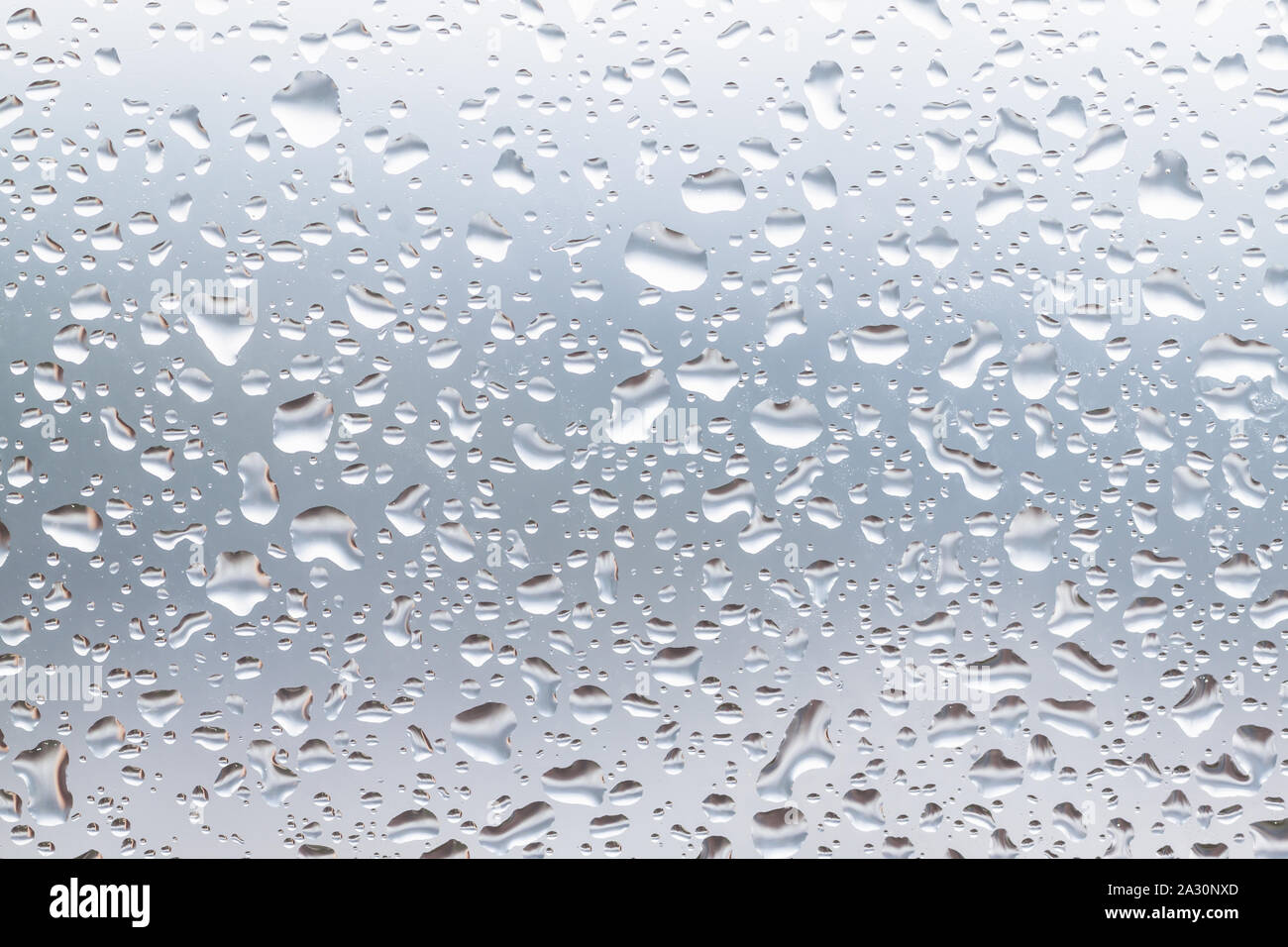 Wassertropfen auf Glas. Stockfoto