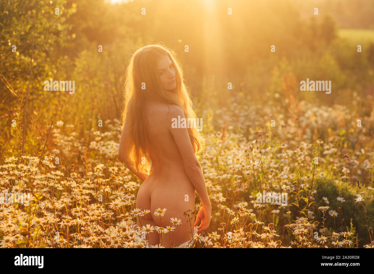 Nackte Frau mit langem Haar bleiben durch zurück in der Kamille Feld im Sonnenuntergang Stockfoto