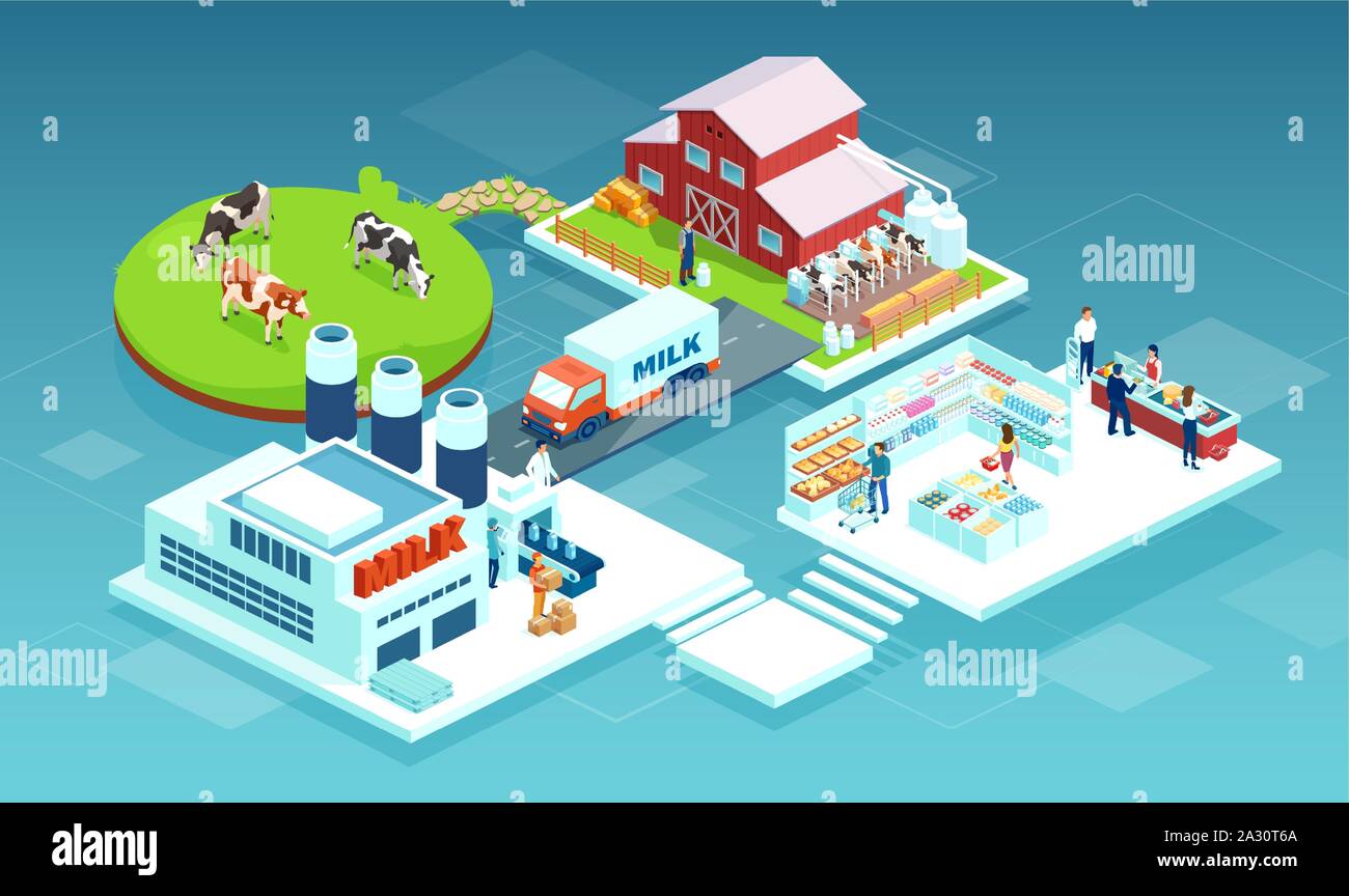 Isometrische Vektor eines Milch produktion Kette aus einer Molkerei durch Werk zur Verbraucher auf einen Supermarkt Regale Stock Vektor