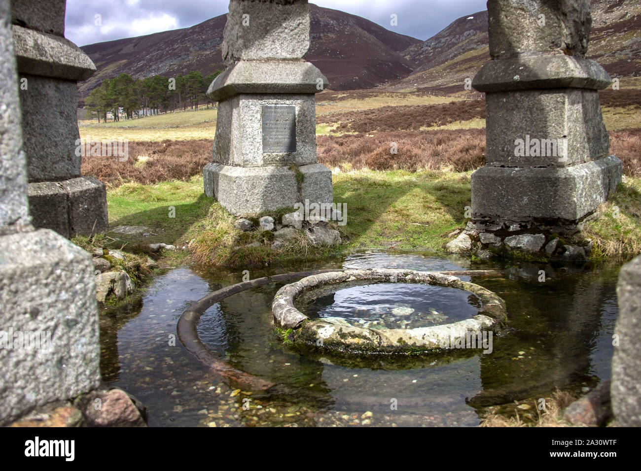 Innenraum der Queen's Gut auf dem Weg nach Mount scharf. Glen Mark, Angus, Schottland, Großbritannien. Cairngorms National Park. Stockfoto