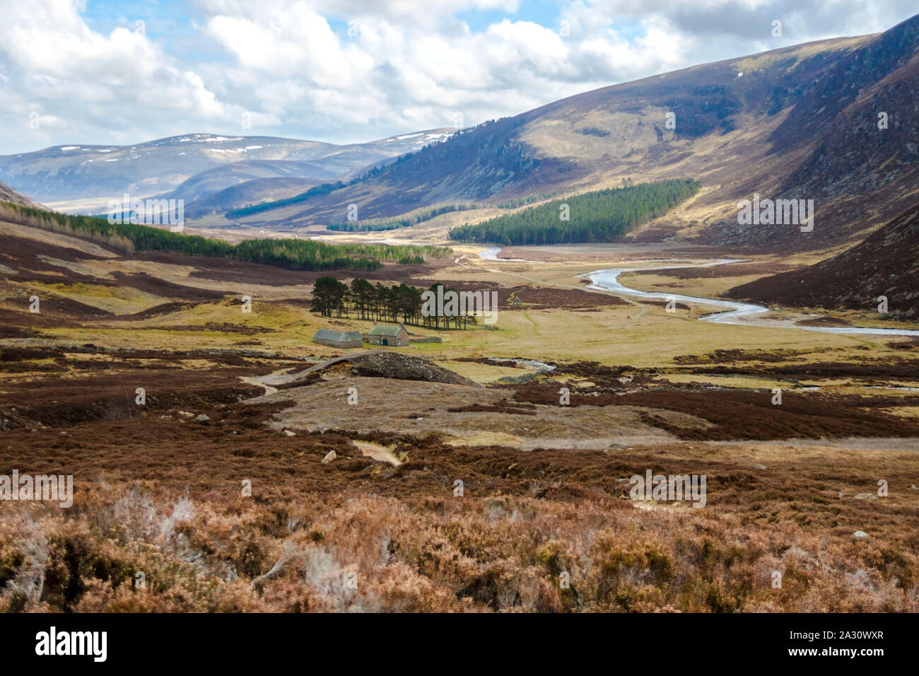 Wanderweg im Cairngorms National Park. Angus, Schottland, Großbritannien Stockfoto