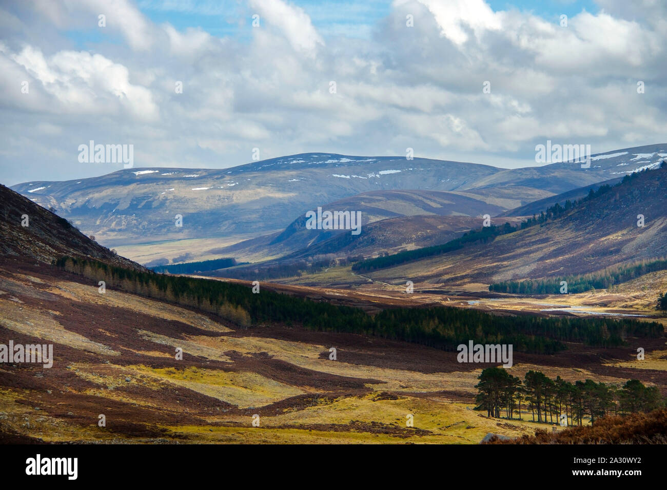 Wanderweg im Cairngorms National Park. Angus, Schottland, Großbritannien Stockfoto