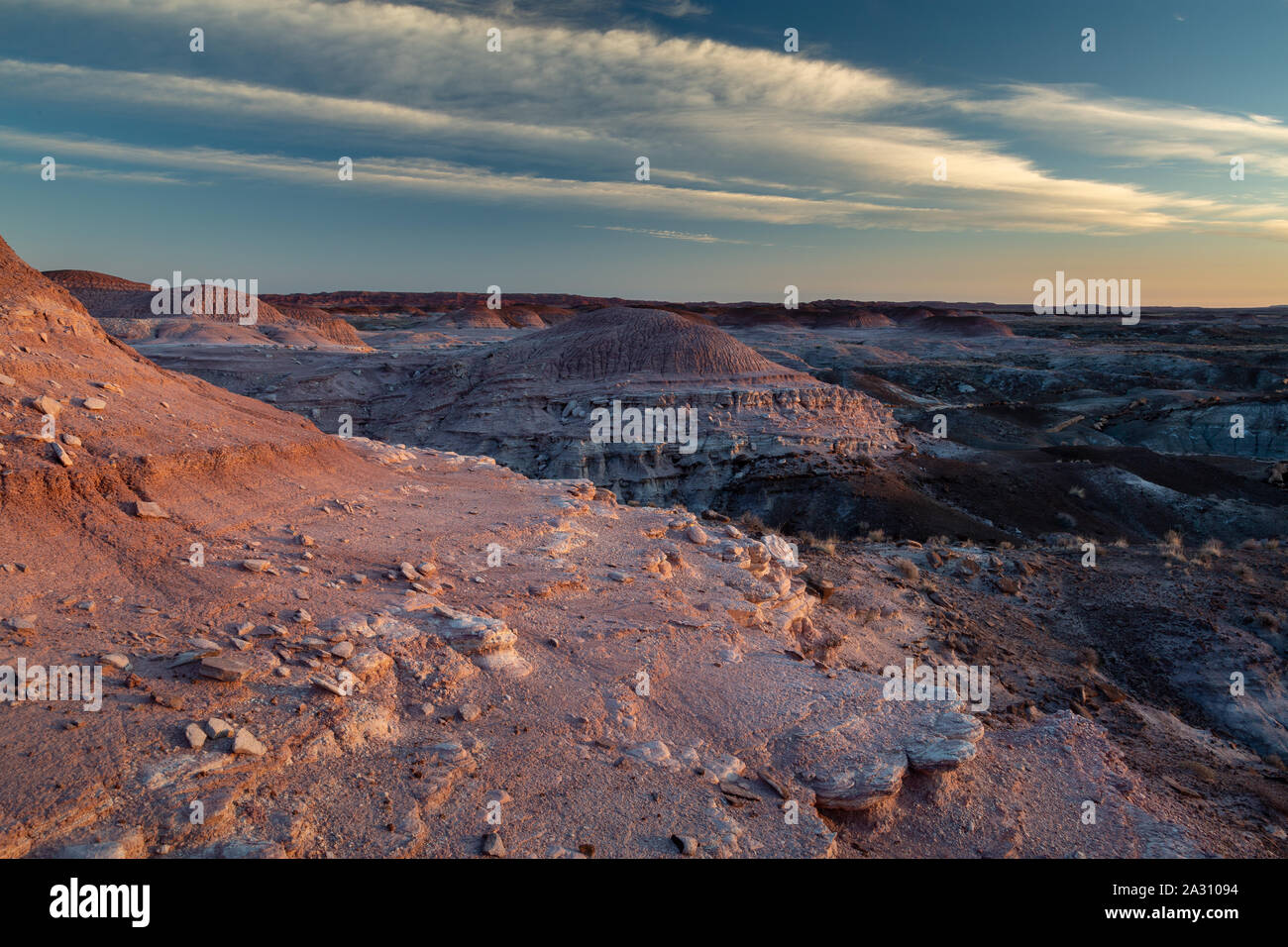 Die Painted Desert Wilderness Area aus Badlands und Hügel bis zum Sonnenaufgang beleuchtet. Petrified Forest National Park, Arizona Stockfoto