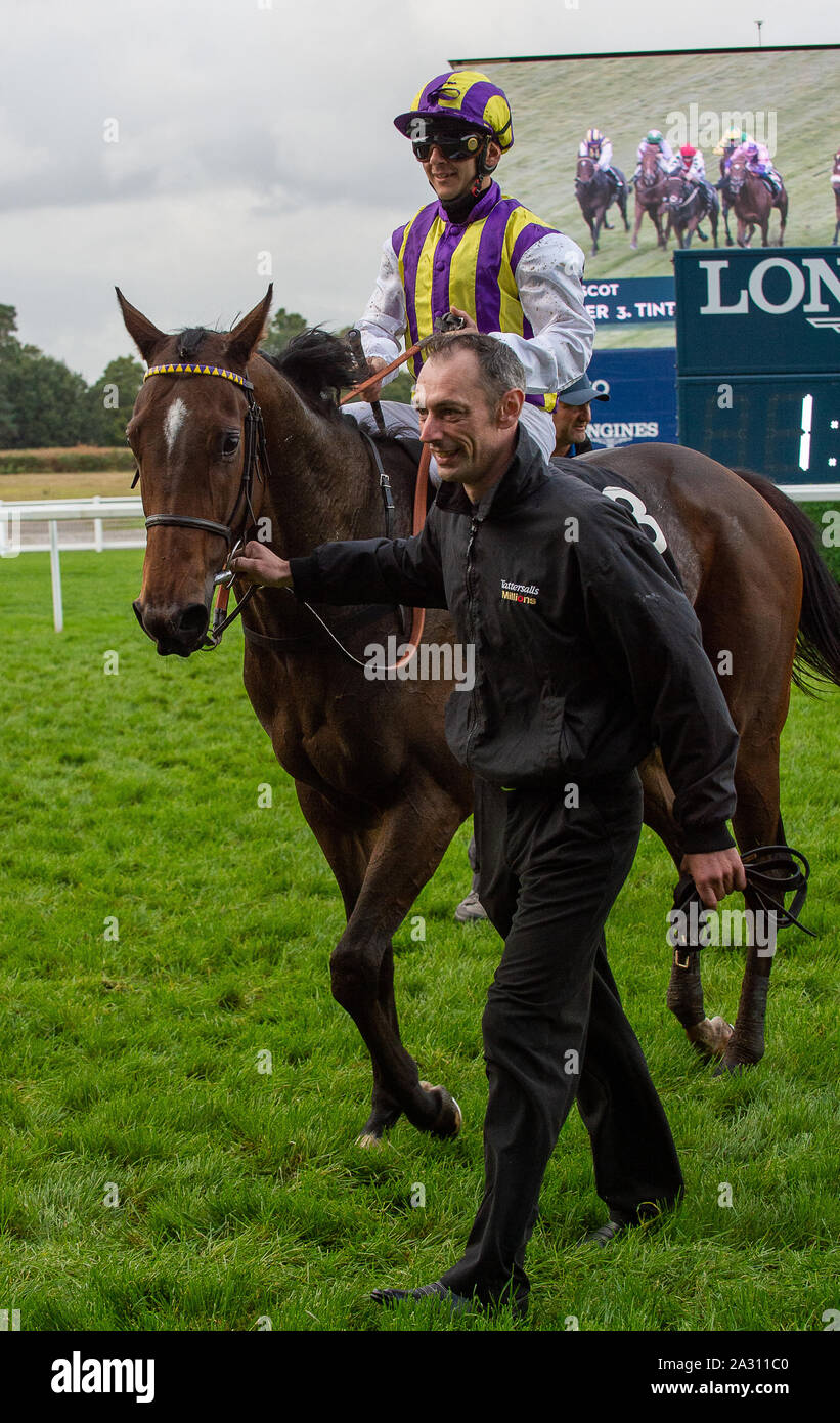 Herbst Racing Wochenende & Ascot Bierfest, Ascot Racecourse, Ascot, Berkshire, Großbritannien. 4. Oktober 2019. Jockey Marco Ghiani gewinnt den ursprünglichen Harrogate Wasser Handicap Stangen am Pferd Tinto im Besitz von James, S Jenkins und M Quigley, Trainer Amanda Perrett, Pullborough, Züchter Llety Farmen und Sponsor Tattersalls. Credit: Maureen McLean/Alamy leben Nachrichten Stockfoto