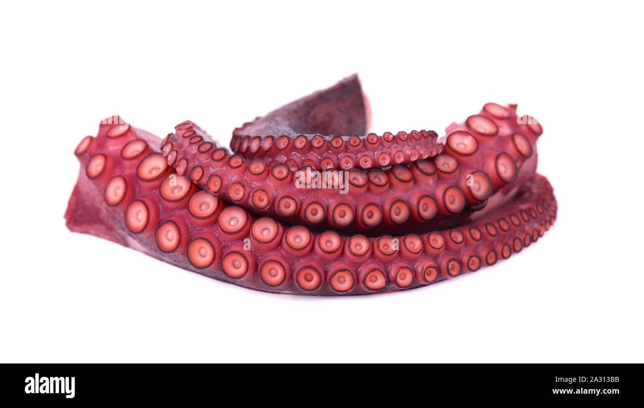 Gekochte Octopus auf weißem Hintergrund. Gekochte octopus Tentakeln isoliert. Stockfoto