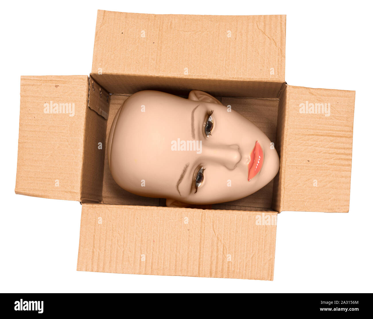 Horizontale Schuß einer Glatze Frau Schaufensterpuppe Kopf innerhalb einer offenen Karton. Die Box wird so gedreht, dass die Kopf seitlich ist. Weißer Hintergrund. Stockfoto