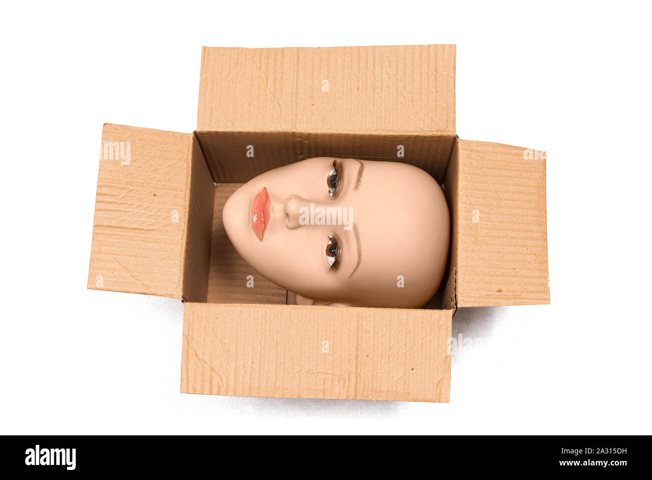 Horizontale Schuß einer Glatze Frau Schaufensterpuppe Kopf innerhalb einer offenen Karton mit Schatten. Die Box wird so gedreht, dass die Kopf seitlich ist. Weißer Hintergrund Stockfoto