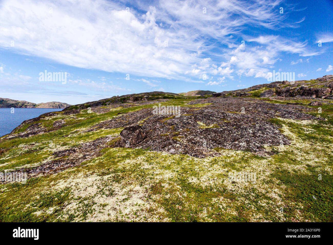 Northern polar Sommer. Schöne Küste der Barentssee, Arktischen Ozean, Halbinsel Kola, Russland Stockfoto