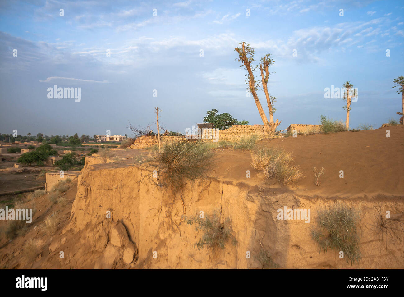 Die Cholistan-Wüste, lokal auch als Rohi bekannt, erstreckt sich 30 km von Bahawalpur, Punjab, Pakistan und erstreckt sich über eine Fläche von 16.000 km². Stockfoto