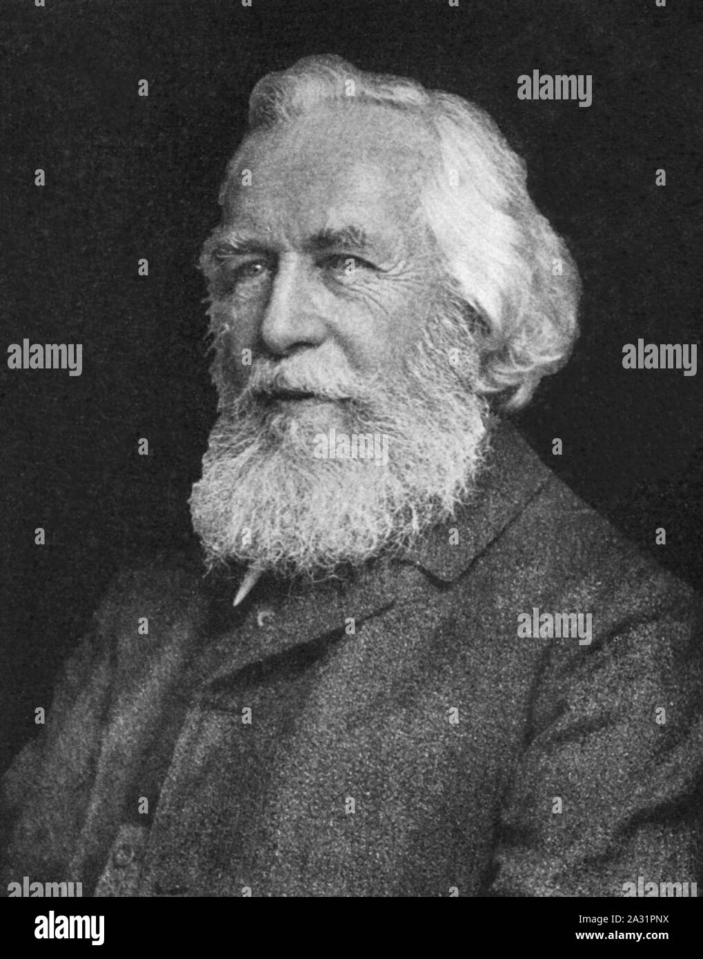 Ernst Haeckel 5. Stockfoto