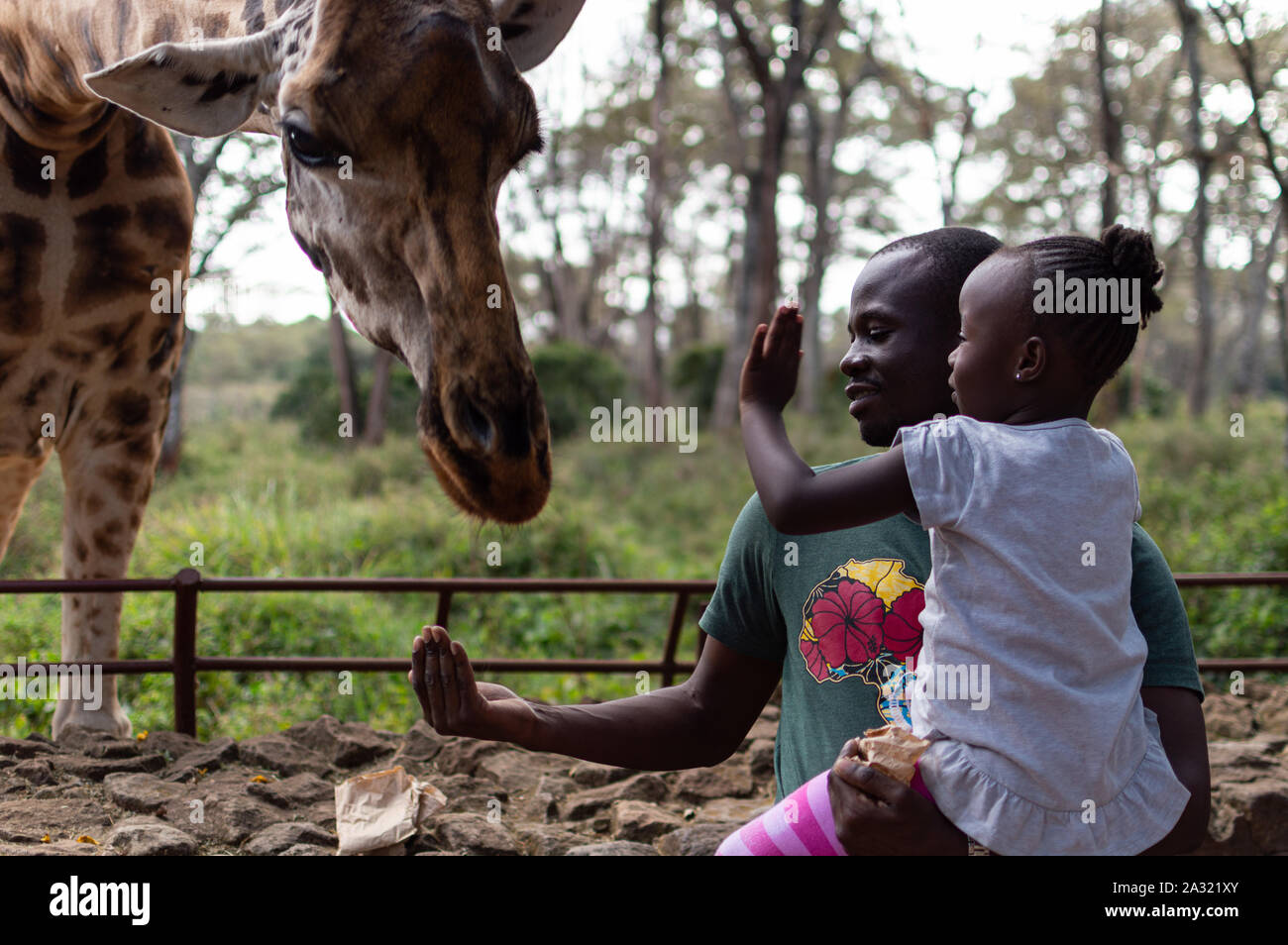 Familie Fütterung Giraffe Stockfoto