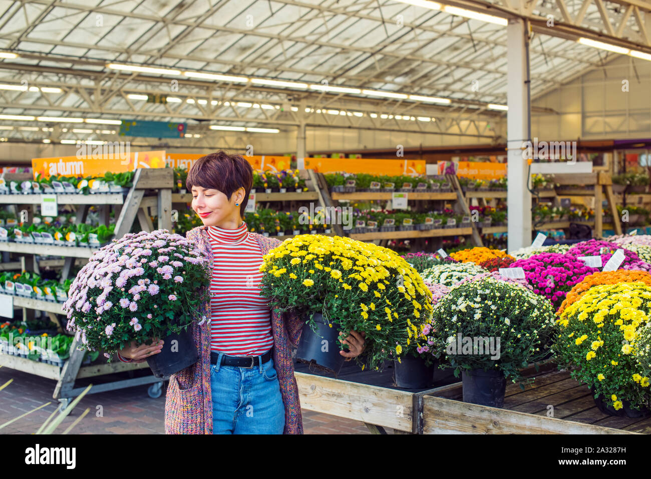 Junge Frau mit Topfpflanzen gelb und rosa Chrysanthemen Daisy Blumen im Garten Shopping Center. Herbst Ideen der freien dekorieren. Hobby- und leasur Stockfoto
