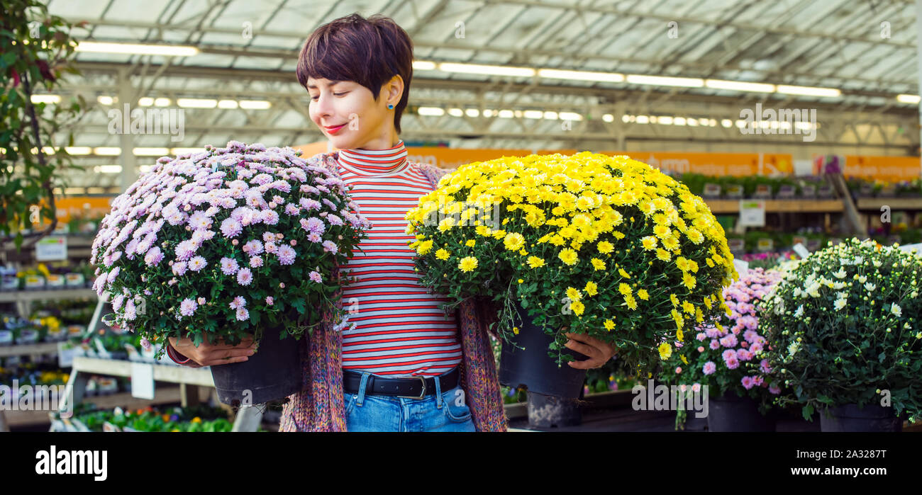 Junge Frau mit Topfpflanzen gelb und rosa Chrysanthemen Daisy Blumen im Garten Shopping Center. Herbst Ideen der freien dekorieren. Hobby- und leasur Stockfoto