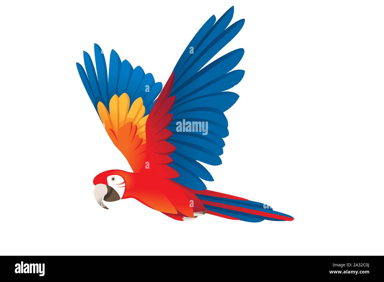 Fliegender papagei Stock-Vektorgrafiken kaufen - Alamy