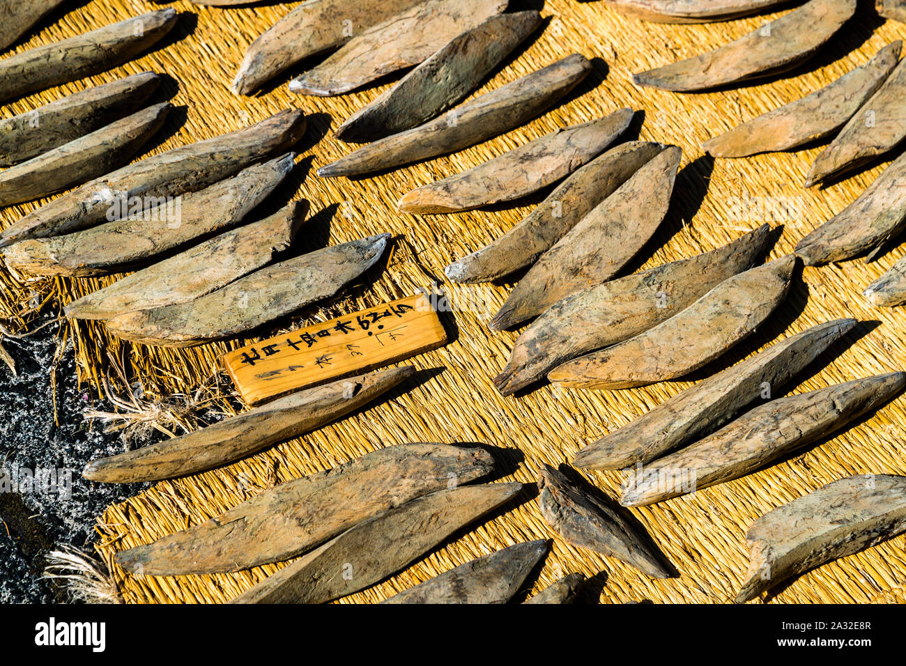 Yasuhisa Serizawas Katsuobushi-Manufaktur in Nishiizu-Cho, Shizuoka, Japan. Alternierende Sonnen- und Schimmelkulturen geben dem Honkare Katsuobushi den gewünschten Feuchtigkeitsgehalt von weniger als 20 Prozent Stockfoto