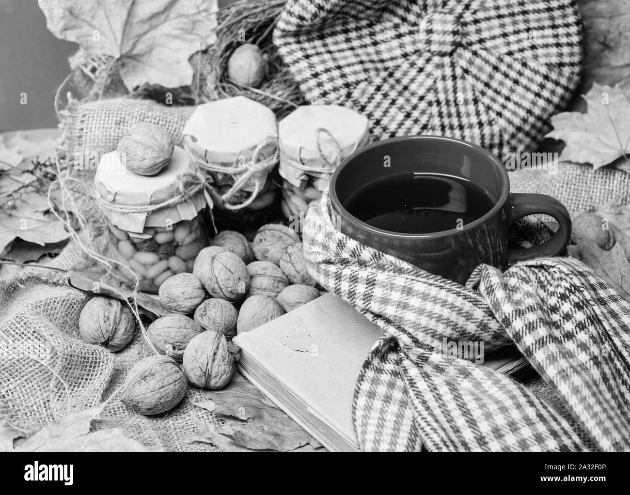 Tasse Tee von Schal roter Hintergrund mit gefallenen Ahorn Blätter und Walnüsse umgeben. Genießen Sie gemütliche herbstliche Atmosphäre. Herbst Bucket List Konzept. Becher gemütliche aromatischen Kaffee trinken in Schal und Leckereien. Stockfoto