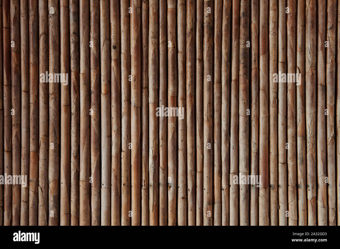 Trockene Bambus Textur Hintergrund. Gebäude aus Holz Konzept Stockfoto