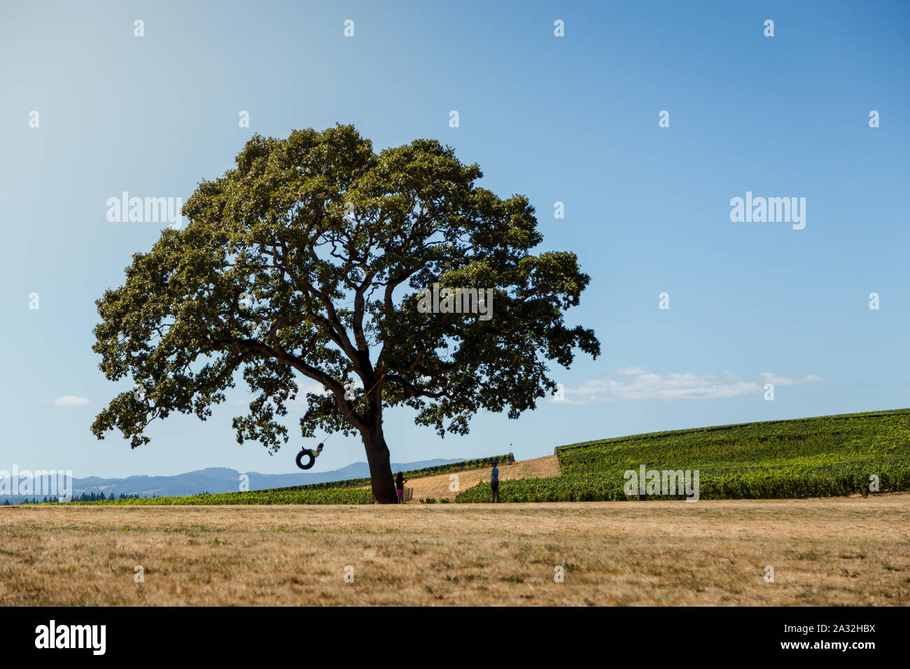 Vater, der seine Tochter auf einem reifen Schwingen hängen von einem Baum in einer ländlichen Szene drücken, Themen absichtlich silhouetted, Gesichter nicht sichtbar. Stockfoto