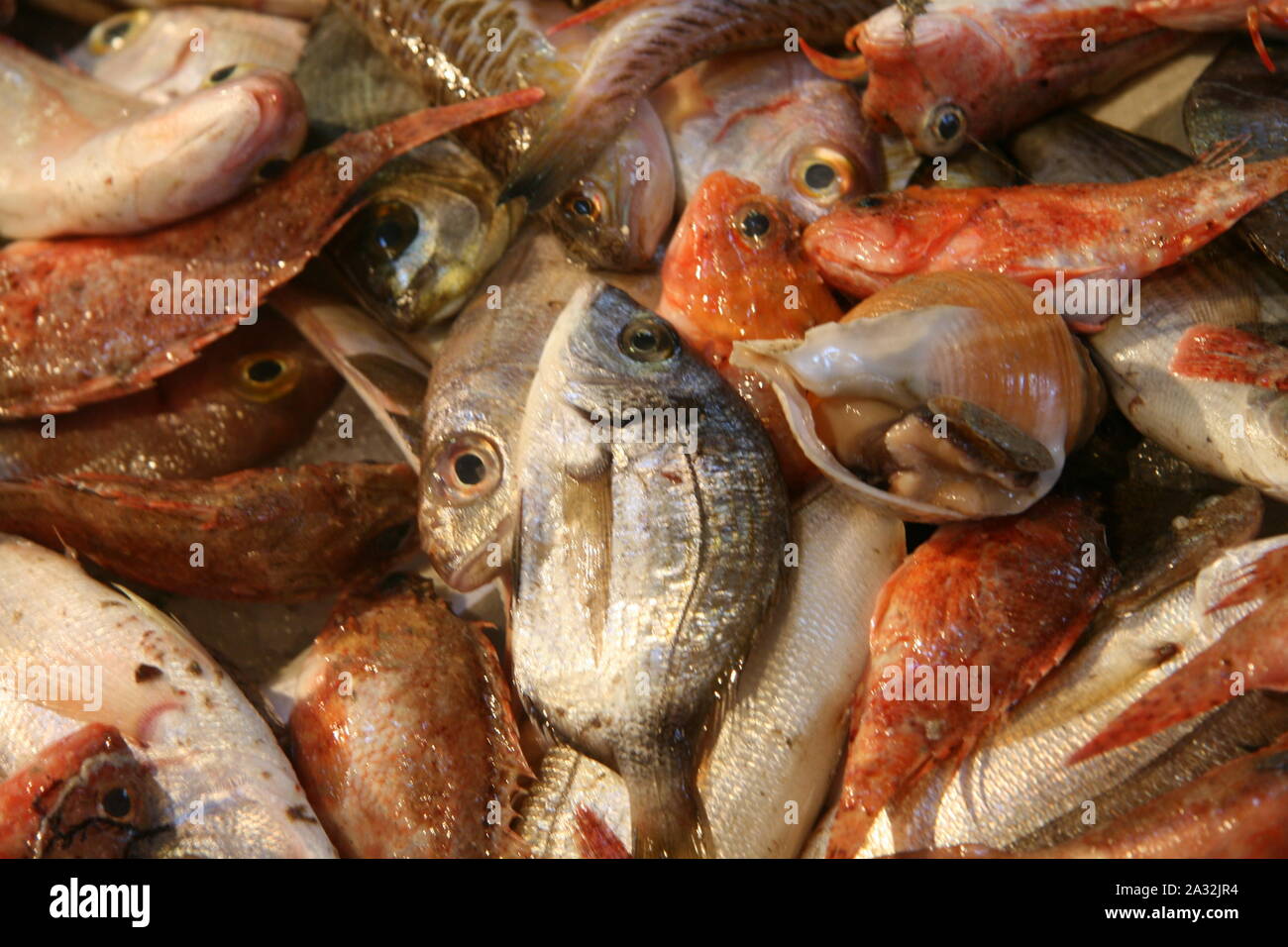 Eine Mischung aus eingelöst Fisch auf einem Markt in Rijeka, das einen Hafen in Kroatien Stockfoto