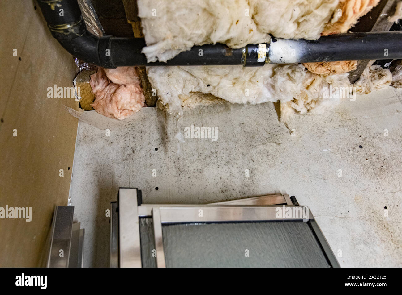 Ein niedriger Betrachtungswinkel und der strukturellen Details unter der Gipskartonplatten im Keller, mit Balken und Isolierung. Schimmelpilze Aspergillus (schwarz) befindet sich auf der Wand zu sehen Stockfoto