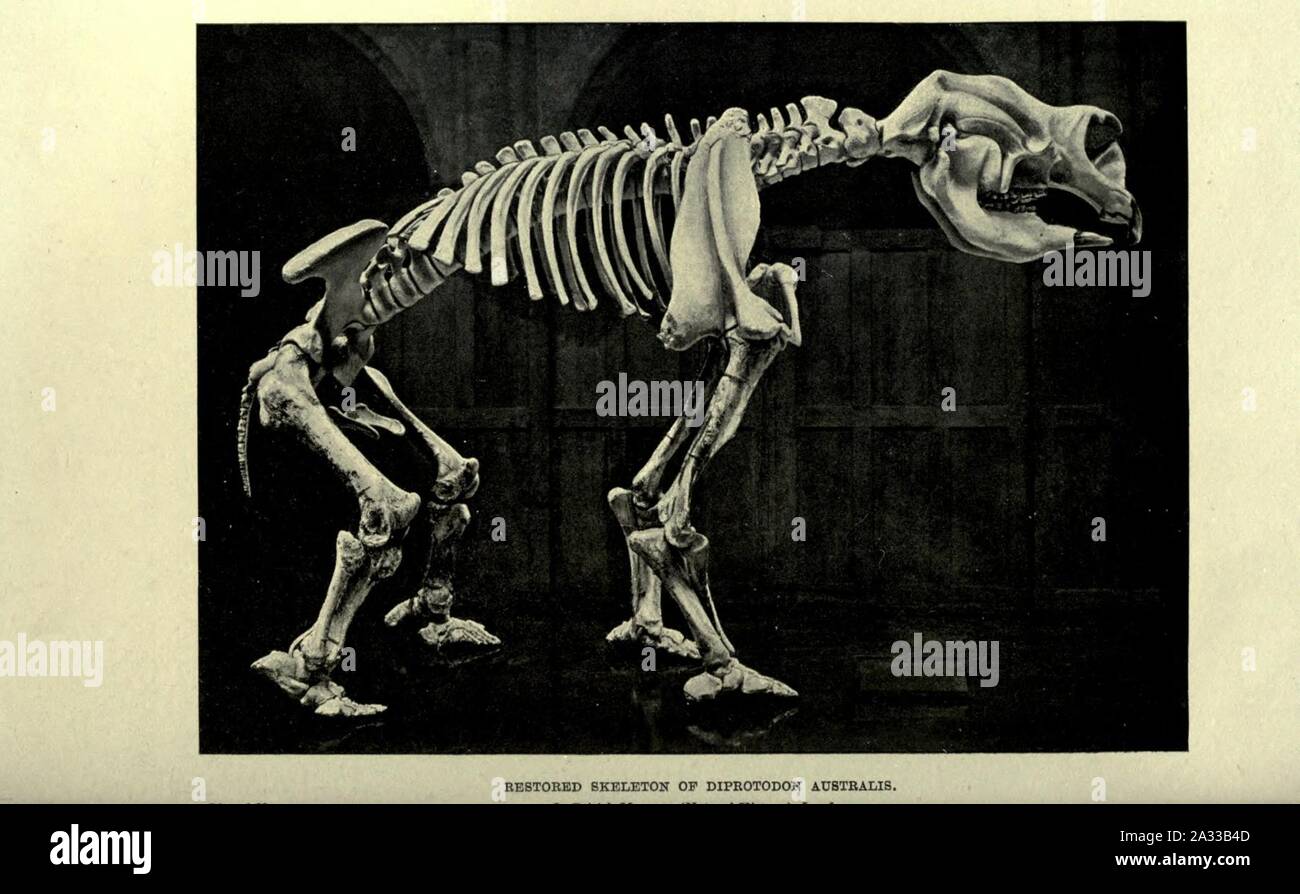 Ausgestorbene Monster und Kreaturen der anderen Tage Stockfoto