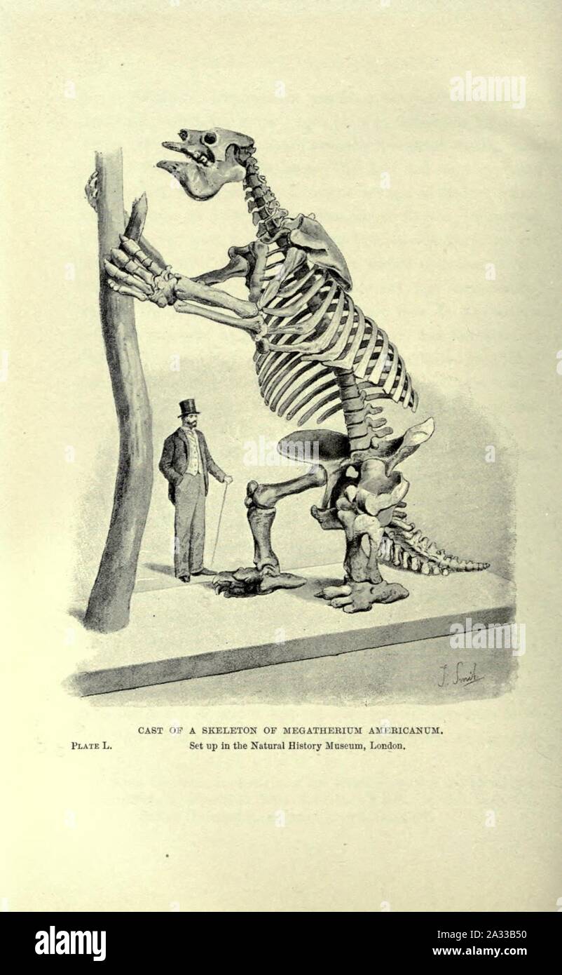 Ausgestorbene Monster und Kreaturen der anderen Tage Stockfoto