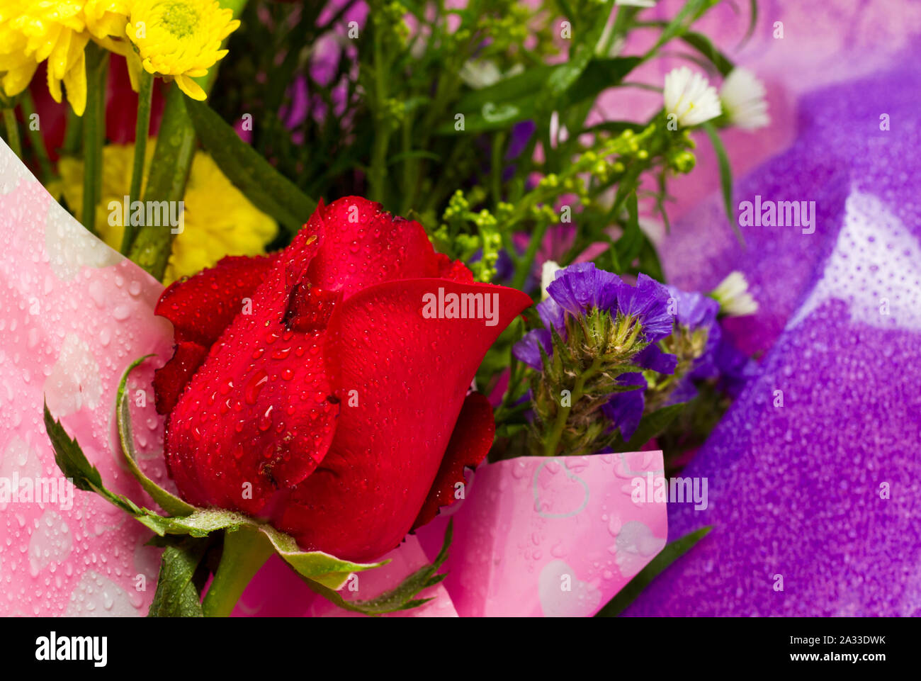 Ein Bouquet von verschiedenen Blumen für Graduation Day Stockfoto