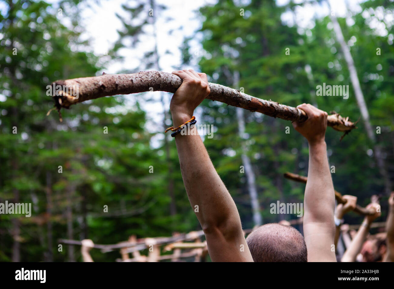 Eine Detailansicht der glatzköpfige Mann hält einen Zweig über seinem Kopf während einer Übung blending multikulturellen Übungen wie Tai Chi und Yoga für Körper und Geist. Stockfoto Eine Detailansicht der glatzköpfige Mann hält einen Zweig über seinem Kopf während einer Übung blending multikulturellen Übungen wie Tai Chi und Yoga für Körper und Geist. Stockfoto