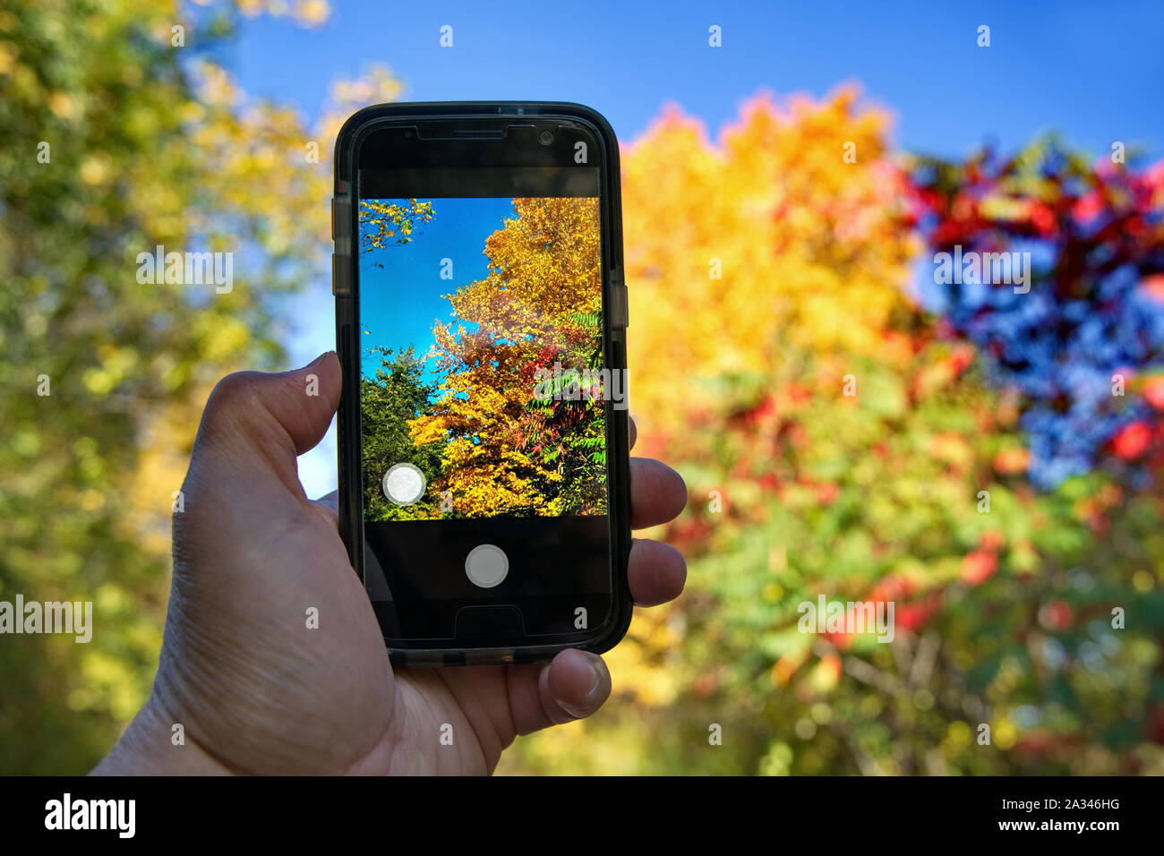 Zeiger und Handy Bilder von Herbstlaub auf soziale Kontakte zu senden. Stockfoto