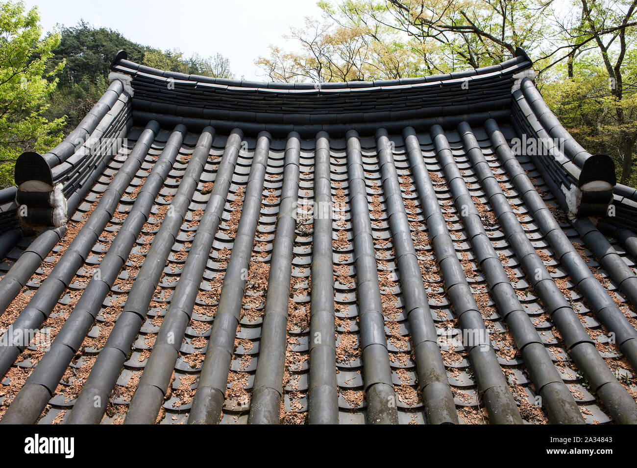 Soswaewon Garten in Damyang County, South Korea. Stockfoto