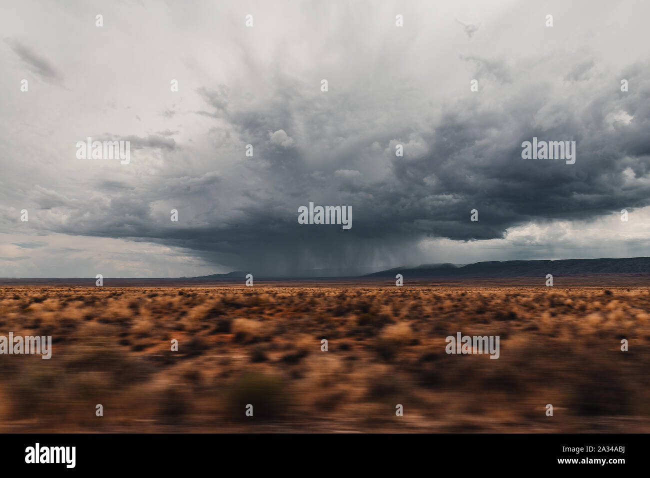 Thuderstorm über Arizona Wüste Stockfoto