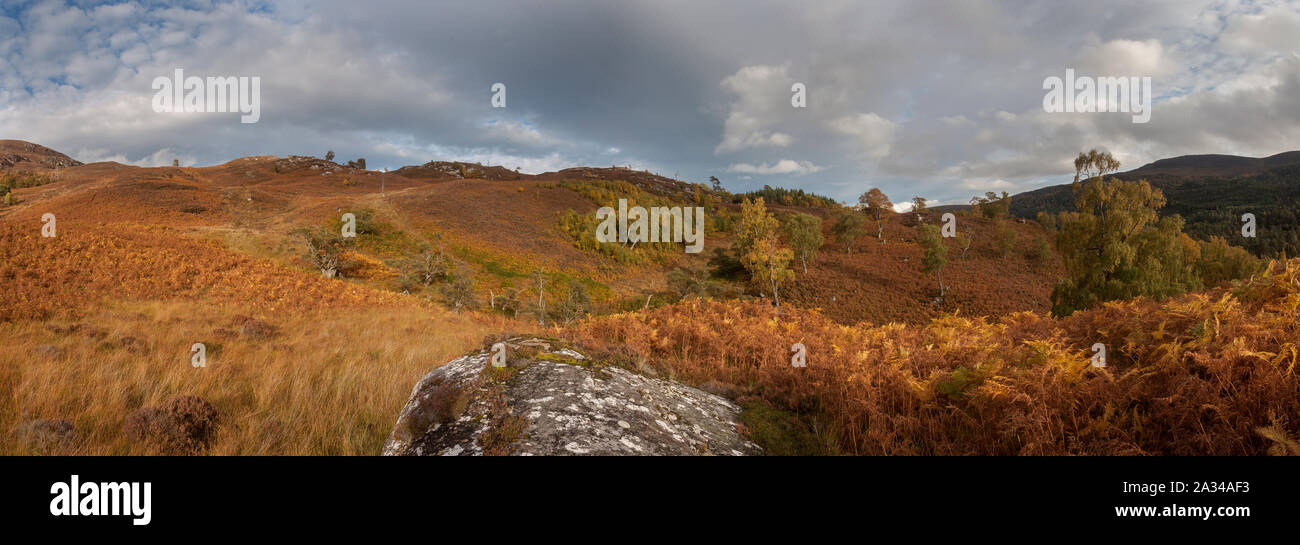 Glen Affric, Cannich, Highlands Schottland Stockfoto