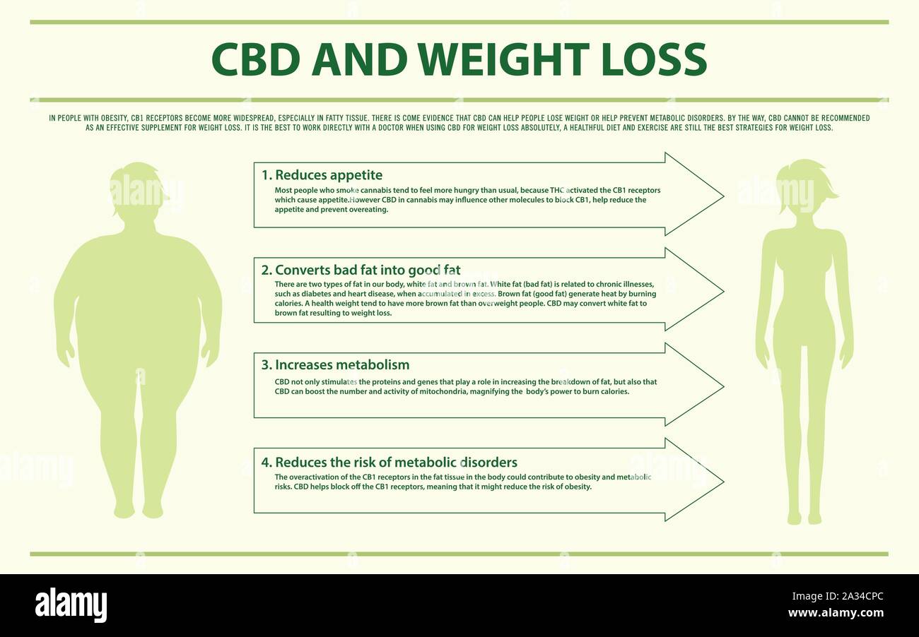 CBD und Gewichtsverlust horizontale Infografik Abbildung über Cannabis als pflanzliche Alternative Medizin und chemische Therapie, Gesundheitsversorgung und medizinische Sci Stock Vektor