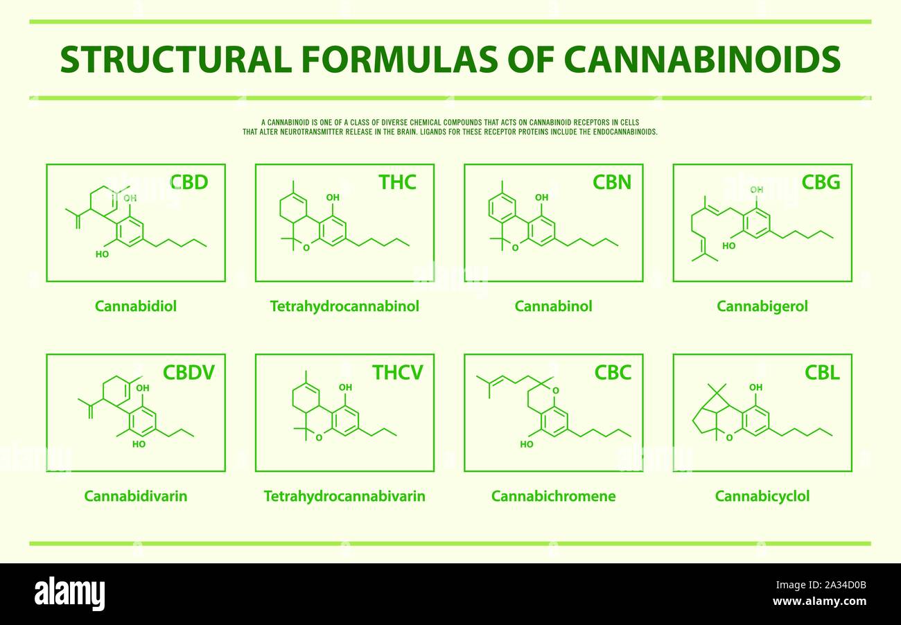 Strukturformeln der wichtigsten natürlichen Cannabinoide horizontale Infografik Abbildung über Cannabis als Medizin, Gesundheitswesen und medizinische Vektor. Stock Vektor