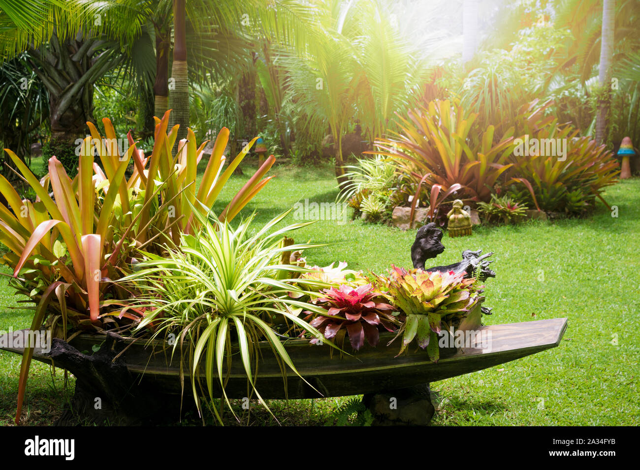 Schönen tropischen Garten im Sommer unter Sonneneinstrahlung. Stockfoto