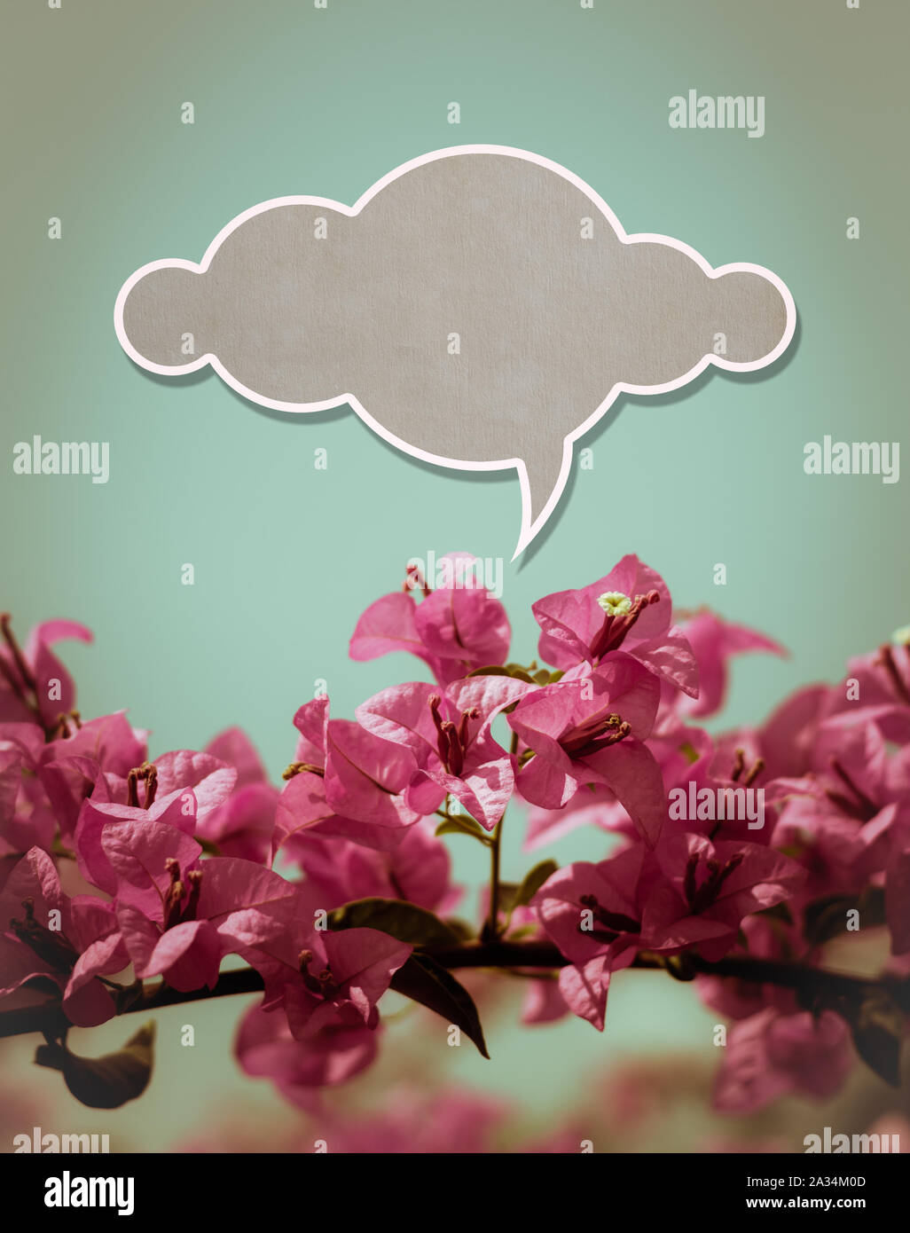 Cloud Papier oben pick Blume Hintergrund für Text Stockfoto