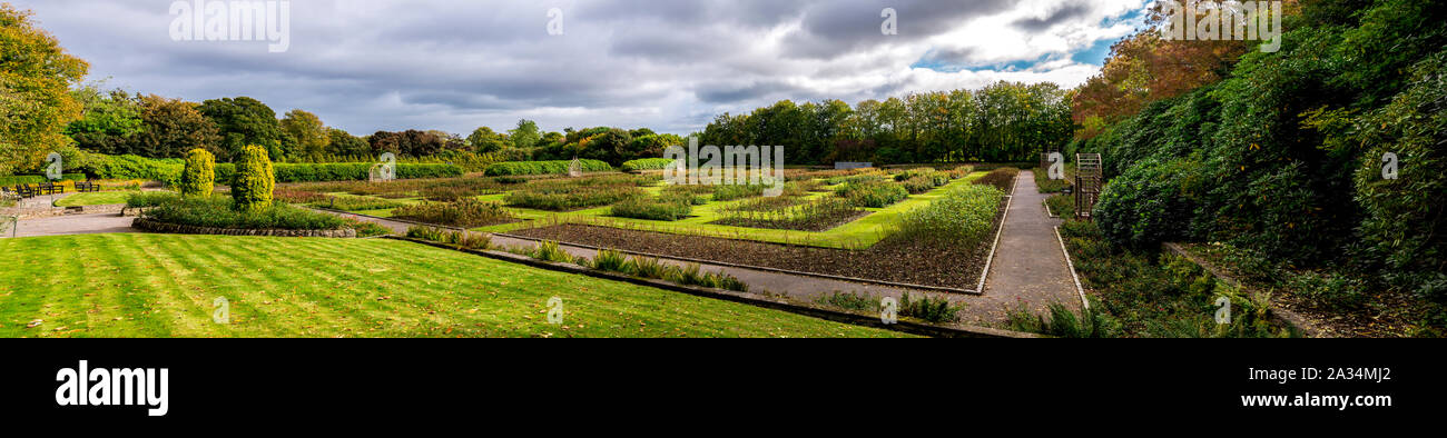 Panoramablick auf einem renovierten Königin Mutter Rose Garden im hazlehead Park, Aberdeen, Schottland Stockfoto