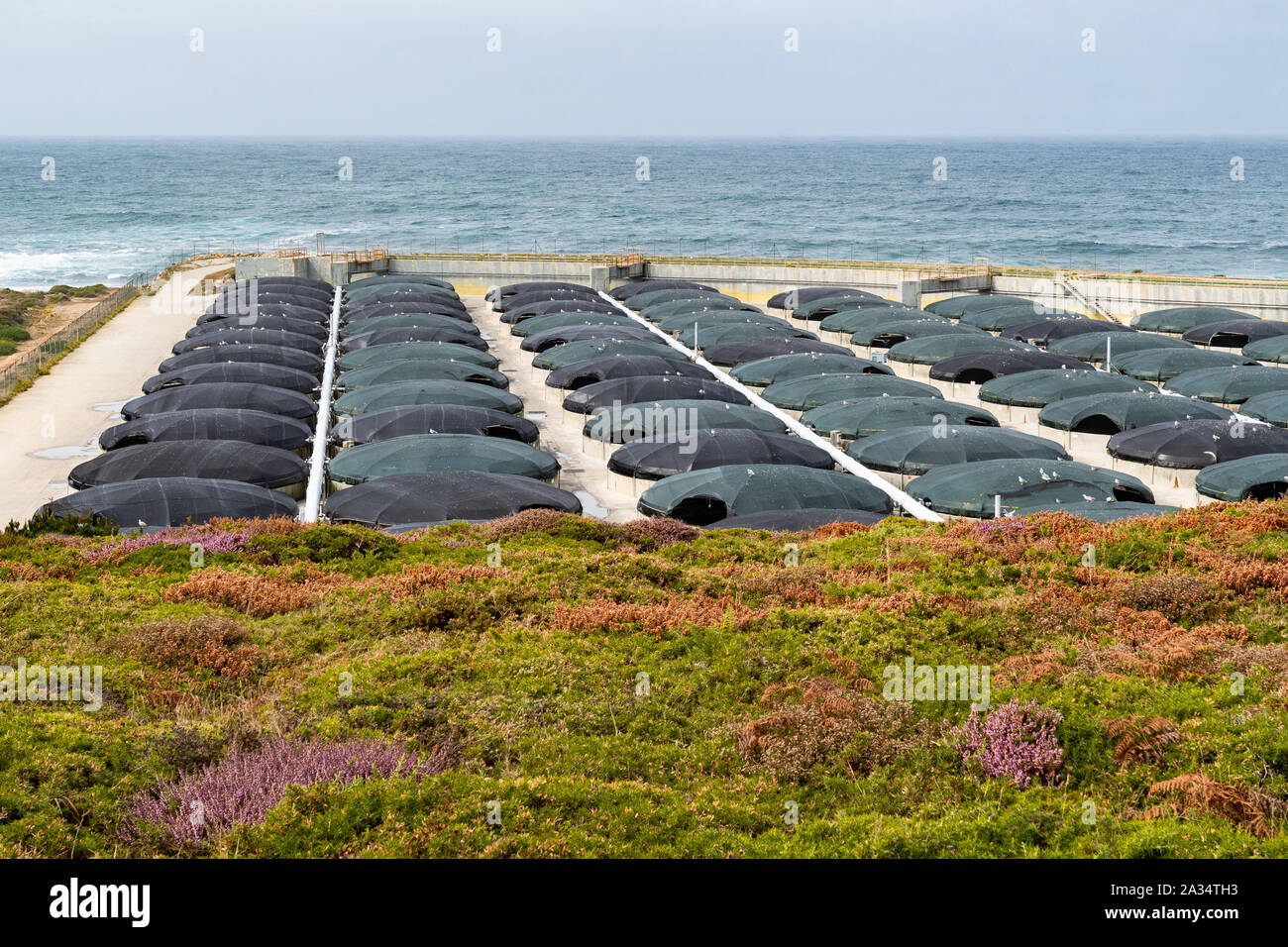 Stolt Meer Bauernhof - einem Land gegründeten Fischzucht am Cabo Vilan Camarinas,, Galizien, Spanien Stockfoto