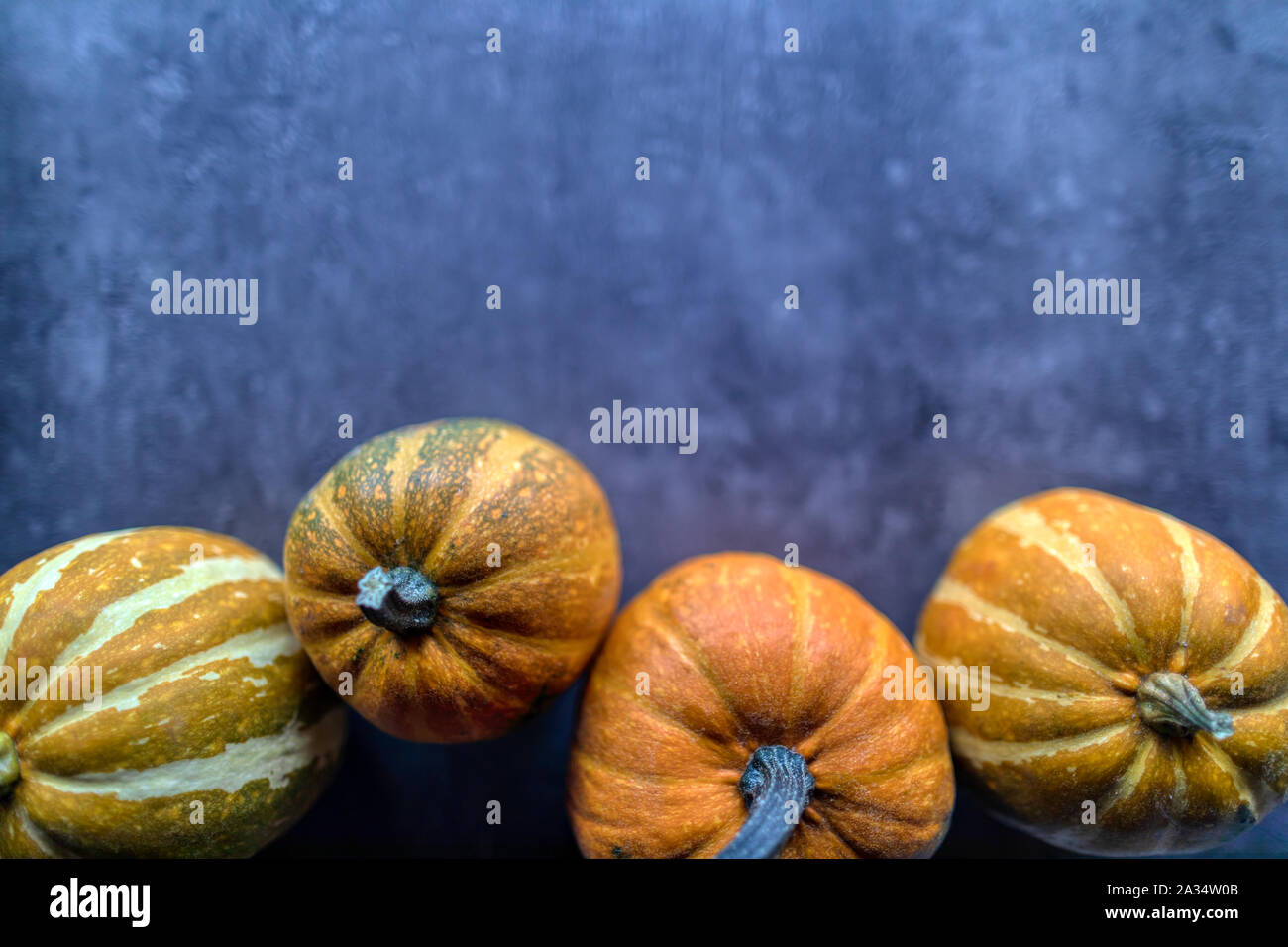 Happy Thanksgiving, Auswahl verschiedener Kürbisse auf grauem Stein, Herbst Gemüse und saisonale Dekorationen, Banner Stockfoto