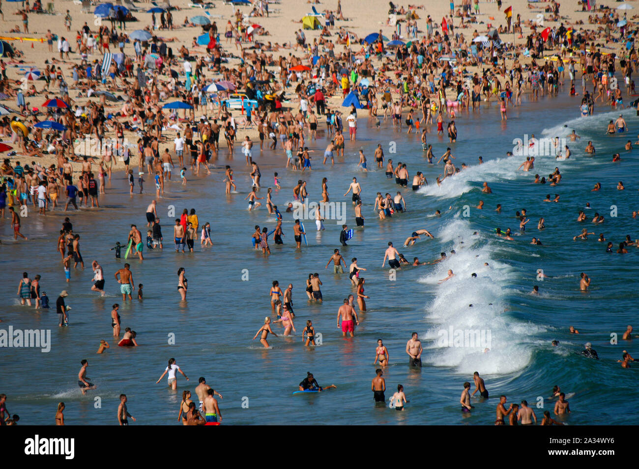 Dezember 30, 2017: Temperaturen über 35 Grad Celsius ziehen Massen von Menschen in den überfüllten Stadt Strände von Sydney, Bondi Beach, Sydney, Austral Stockfoto