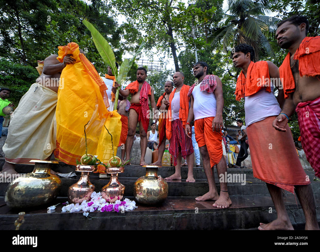 Kolkata, Indien. 05 Okt, 2019. Hindu Menschen mit einer Banane Pflanze  gesehen zu markieren Nabapatrika, die Banane Pflanzen findet in der Nähe  von Devi Durga am Morgen des Maha Saptami Puja nach