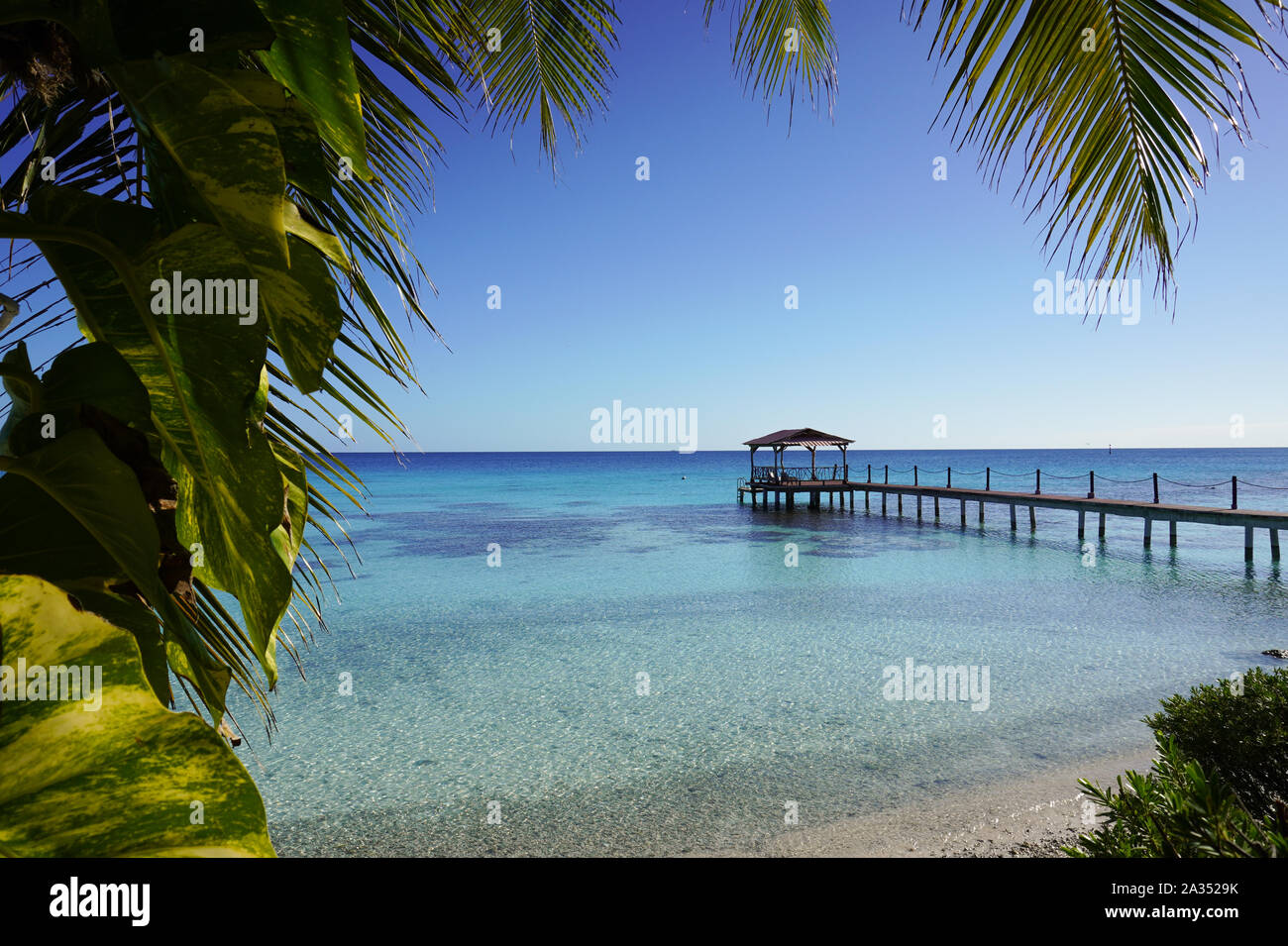 Tropische Blätter Frame ein Bild von einem Dock in türkisfarbenem Wasser führenden Stockfoto